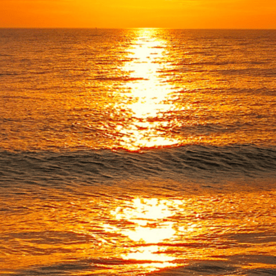 Test vitamin D in Autumn